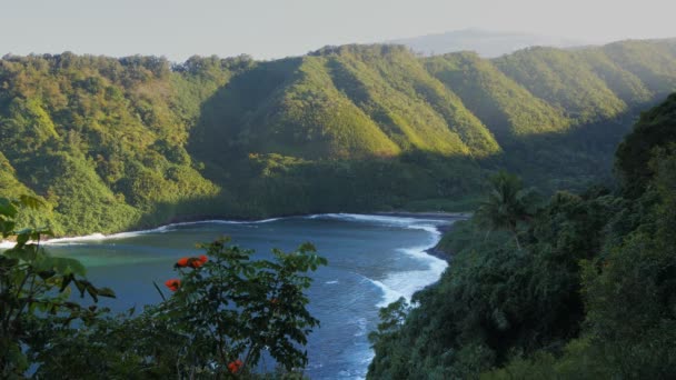 Baía de Honomanu de maui — Vídeo de Stock