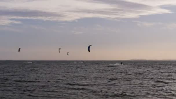 Vier kite surfers — Stockvideo