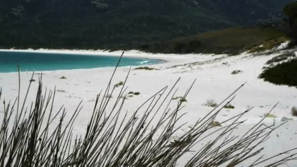 Playa de arena blanca — Vídeos de Stock