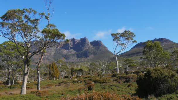 MT ossa i cradle mountain lake — Stockvideo