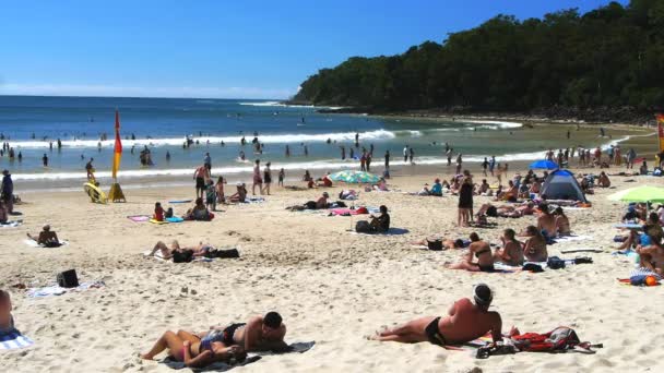 Turistas desfrutar de um dia ensolarado na praia de noosa — Vídeo de Stock