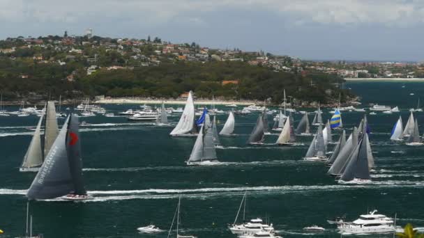 Яхта гонки залишити sydney harbour — стокове відео