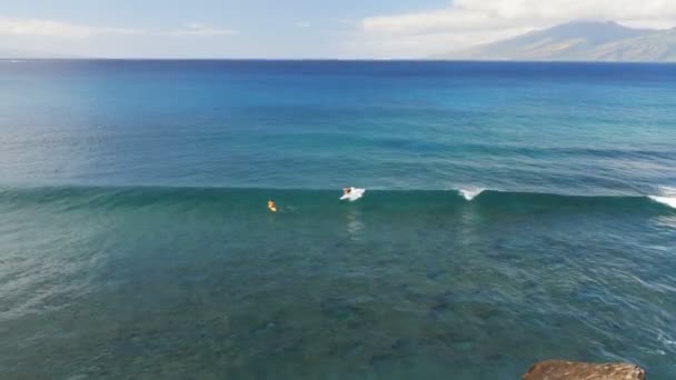 Lahaina Estados Unidos América Jan 2015 Surfista Monta Longboard Baía — Vídeo de Stock