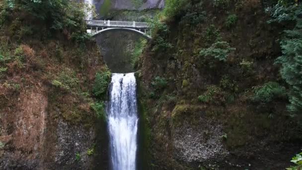 Portland Multnomah falls — Stok video