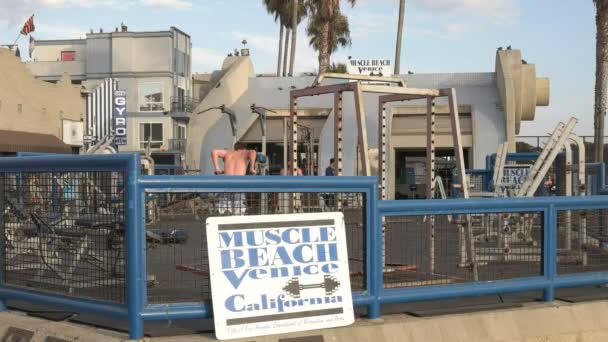 Bodybuilders exercice à la plage — Video