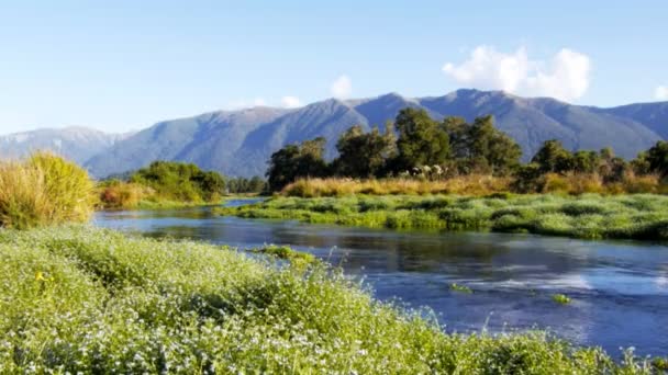 Exuberante arroyo de primavera — Vídeos de Stock