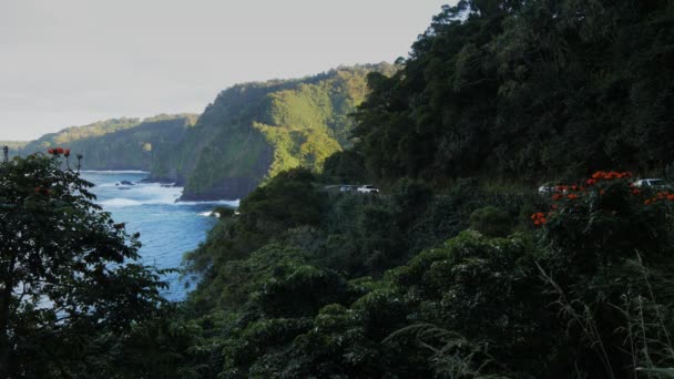 Bahía de Honomanu de Maui y el tráfico — Vídeo de stock