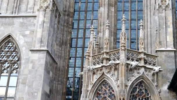 Primo piano del dettaglio architettonico di st stephens cattedrale vienna — Video Stock