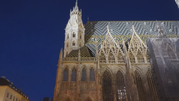 Una vista nocturna del lado de la catedral de San Esteban en Viena, Austria — Vídeos de Stock