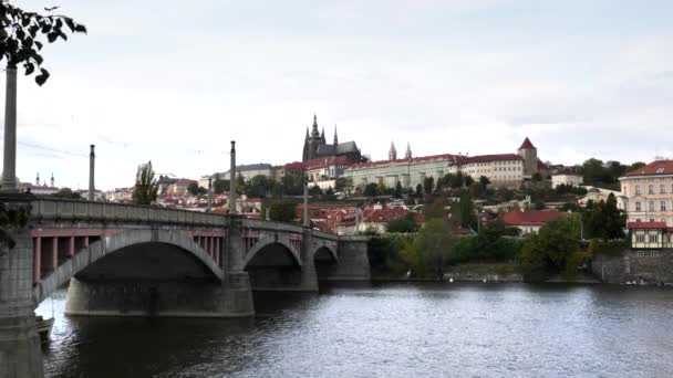 Prag 'da Manes Köprüsü' nün altından bir tur teknesi geçiyor. — Stok video