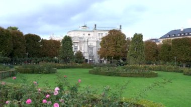 Viyana 'daki Volksgarten Park' ta çiçek tarhında büyüyen güller.