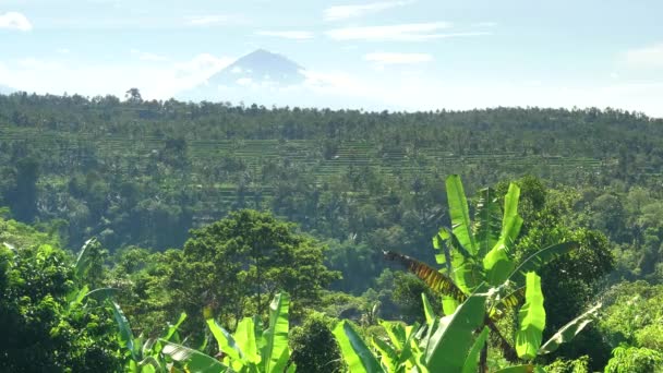 Широкий знімок мт Агунг і терасованих пагорбів поблизу сідла на Балі — стокове відео
