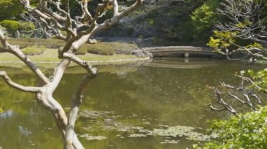 Tokyo 'daki İmparatorluk Sarayı' nda koi havuzu ve köprü.