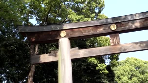 Panning rechts clip van meiji heiligdommen grand torii poort in tokyo — Stockvideo