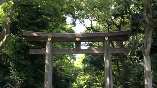 Perto de um portão torii na entrada para o santuário meiji em tokyo — Vídeo de Stock