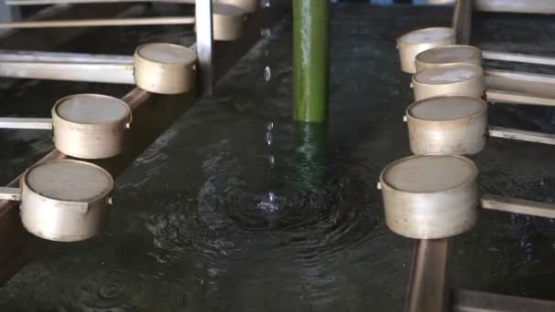 东京明珠寺净水池滴水180p慢速回流 — 图库视频影像
