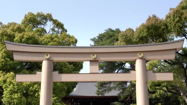 Närbild av en målad torii gate vid meiji helgedom i tokyo — Stockvideo