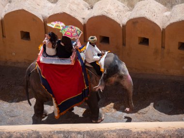 Jaipur 'daki kehribar kalesinde fillerin yüksek açılı görüntüsü