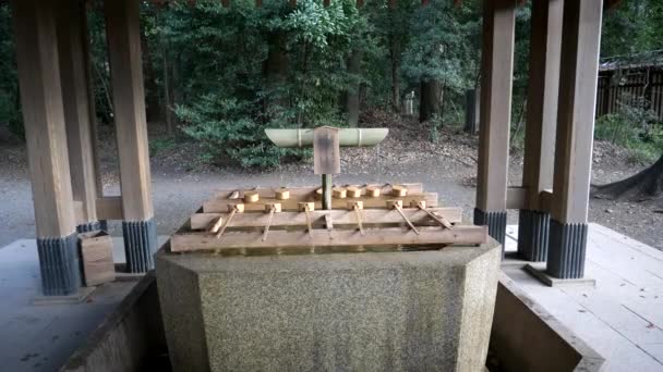 Vattenfontän för rituell rening vid meiji jingu-helgedomen i tokyo — Stockvideo