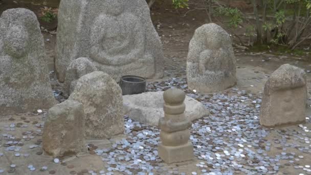 Lovitură de mișcare lentă a monedelor aruncate într-o fântână doritoare la un templu din kyoto — Videoclip de stoc