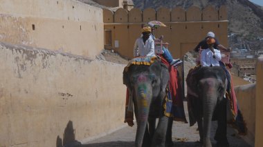 JAIPUR, INDIA - 22 Mart 2019 Kehribar Kalesi 'nde turist taşıyan bir file yakın çekim