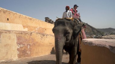 JAIPUR, INDIA - 22 Mart 2019: kehribar kalesinde fil süren turistler
