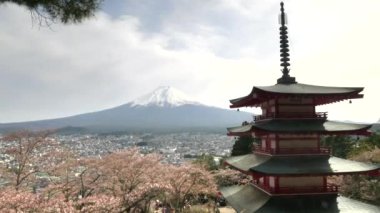 Bahar zamanı Chureito Pagoda 'nın Japonya' daki görüntüsünü yakınlaştır.