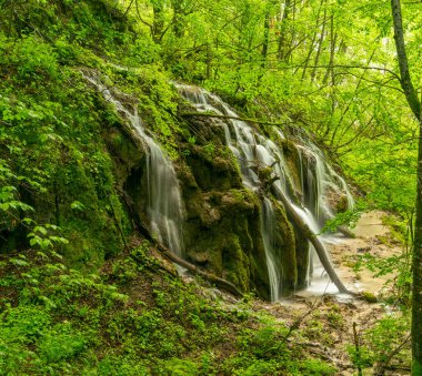 Plitvice Gölleri Ulusal Parkı 'ndaki bir ormanda bir şelale.