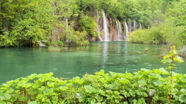 Plitvice Gölleri Ulusal Parkı 'nda şelale ve çekici yeşillikler.