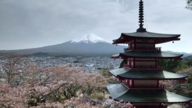 Japonya 'daki Chureito Pagoda' nın bahar öğleden sonra manzarası