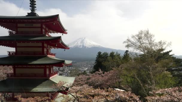 Westseite der Chureito-Pagode mit Mt Fuji im Hintergrund und Kirschblüten am arakura sengen Schrein — Stockvideo