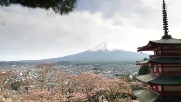 Wiosenny strzał z pagody chureito w Japonii — Wideo stockowe