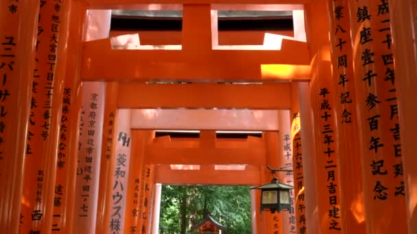 KYOTO, JAPÃO - 16 de abril de 2018: grandes portões de torii no templo de fushimi inari em kyoto — Vídeo de Stock