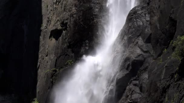 Yosemite 'deki düşük yosemitin tabanını kapatın. — Stok video