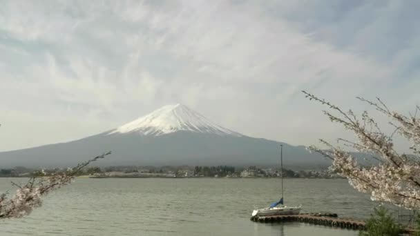 Gimbal skott av mt fuji och körsbär blommor med en segelbåt på sjön kawaguchi — Stockvideo