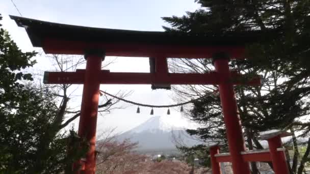 Odpolední záběr mt fuji zarámovaný toriovou bránou v arakura sengen parku — Stock video