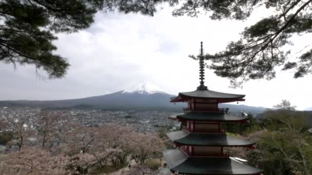 Пагода Чурейто и гора Фудзи обрамлены деревьями в Японии — стоковое видео