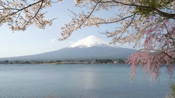 Berget fuji lugn och en lugn sjö kawaguchi — Stockvideo