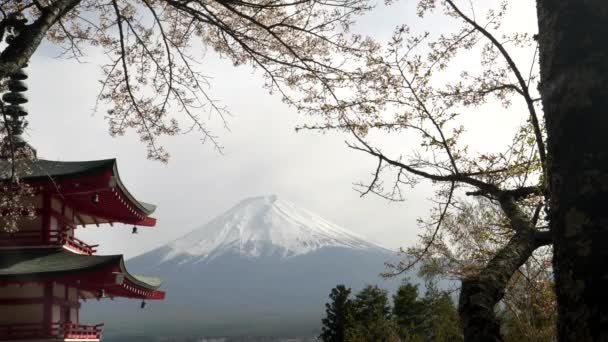 Bliski widok na mt fuji z chureito pogoda w Japonii — Wideo stockowe