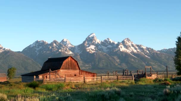 Sunrise view of grand teton and a mormon row barn — Stock Video