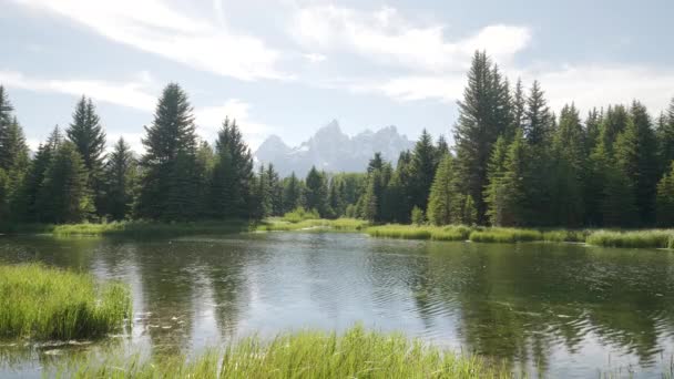 Nachmittagsaufnahme eines Teiches bei Schwabacher Landung im Grand Teton Nationalpark — Stockvideo