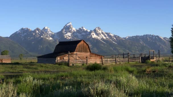 Sabahın erken saatlerinde Grand Teton Ulusal Parkı 'ndaki Mormon Sokağı ahırı ve Grand Teton Dağı manzarası. — Stok video