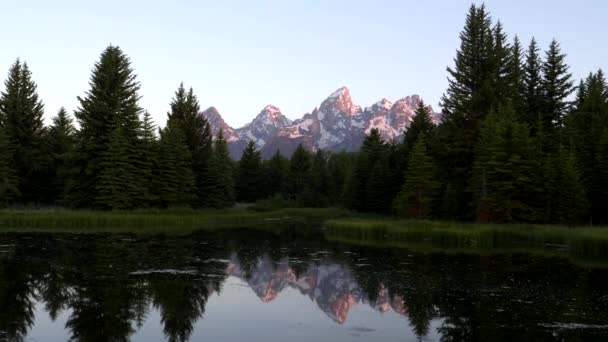 Ein Sonnenaufgang des Grand Tetons spiegelt sich in einem Teich bei der Landung der Schwabacher im Grand Teton Nationalpark — Stockvideo