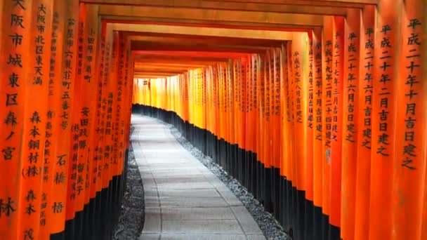 KYOTO, JAPAN - APRIL, 16, 2018: promenader i en tunnel av röda torii grindar vid fushimi inari helgedom i kyoto — Stockvideo