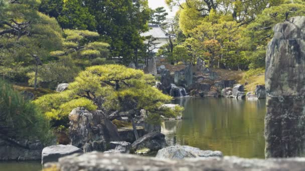 Jardines y estanque en el castillo nijo-jo en kyoto — Vídeos de Stock