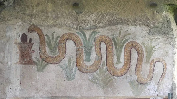 NAPOLI, ITALIA - 13 GIUGNO 2019: scatto di un serpente dipinto su una parete a pompei — Foto Stock