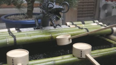 Kyoto 'daki Nishiki Tenmagu Tapınağı' ndaki bir ejderha çeşmesinden bambu kepçesi doldurma videosu.