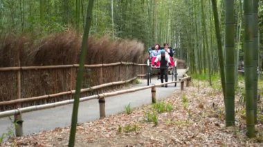 KYOTO, JAPONYA - 16 Nisan 2018: Turistler Arashiyama bambu ormanında triportöre biniyor.