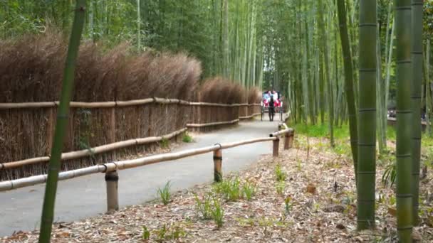 KYOTO, JAPÃO - ABRIL, 16, 2018: tiro no escuro de dois turistas que fazem um passeio de riquixá arashiyama floresta de bambu — Vídeo de Stock