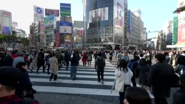 TOKYO, JAPONYA - Nisan, 18, 2018: Tokyo 'daki yoğun Shibuya geçidinde yürüyen titreşimli bir Steadicam klibi — Stok video